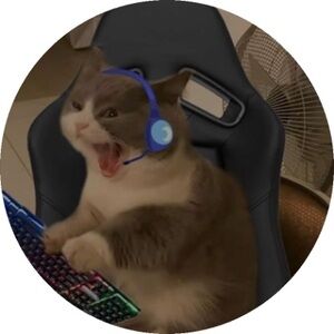 Meet your Posher, Nynynoodle